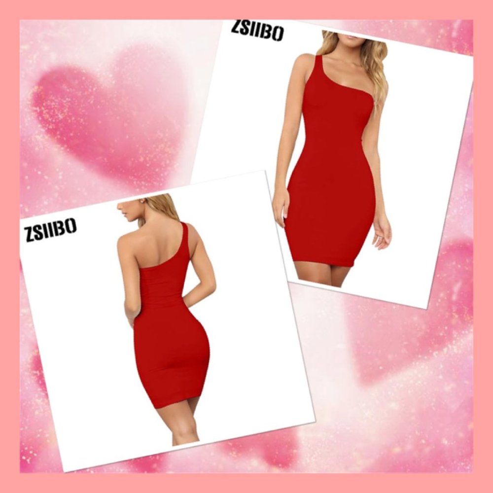 Brand New ZSIIBO Dress
